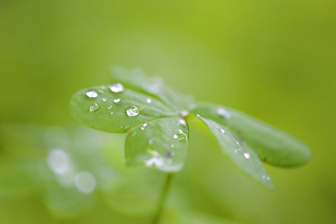 1627028045977621.png 1627028045977621.png