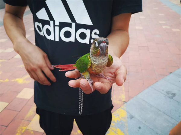 图片2.png 图片2.png