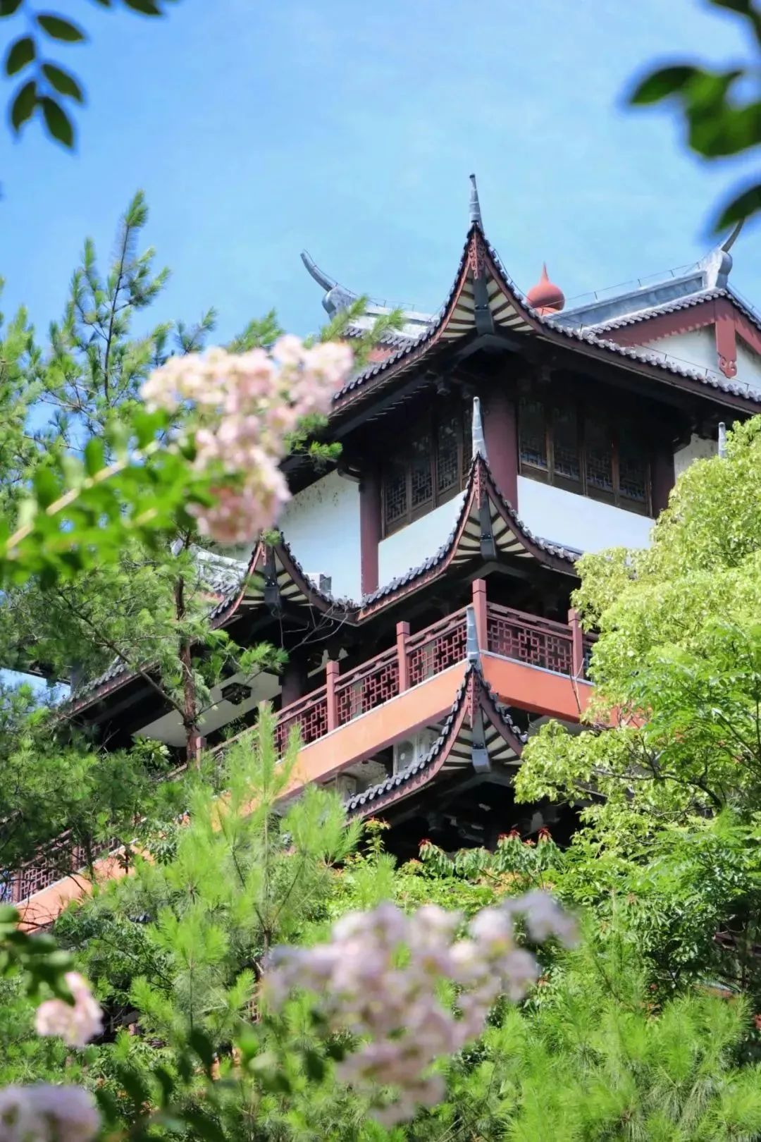 (20230830省微已发)探寻玉屏阁的时光古味 (20230830省微已发)探寻玉屏阁的时光古味