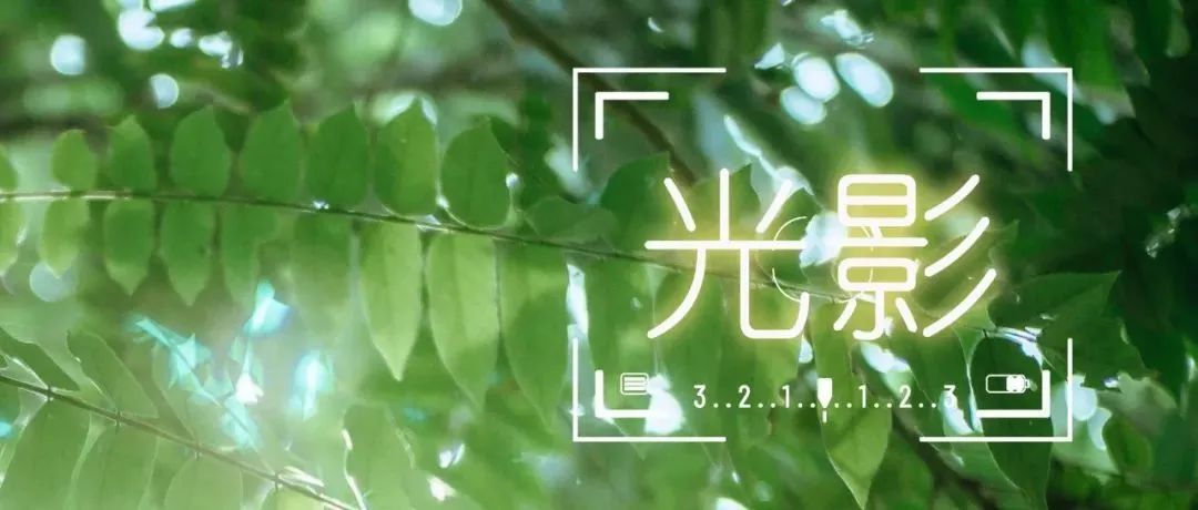 (20230830省微已发)探寻玉屏阁的时光古味 (20230830省微已发)探寻玉屏阁的时光古味