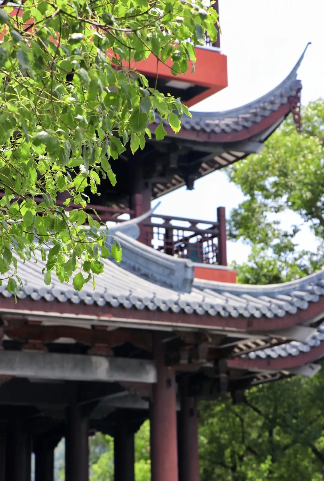 (20230830省微已发)探寻玉屏阁的时光古味 (20230830省微已发)探寻玉屏阁的时光古味