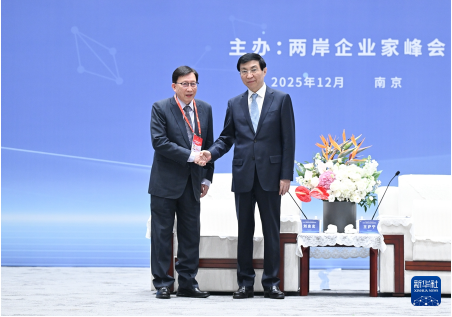 2025两岸企业家峰会年会在南京举行 王沪宁出席开幕式并致辞2 2025两岸企业家峰会年会在南京举行 王沪宁出席开幕式并致辞2